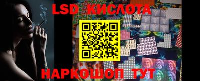 прущие грибы Будённовск