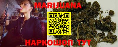 прущие грибы Будённовск