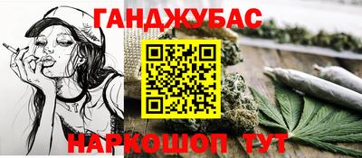 прущие грибы Будённовск