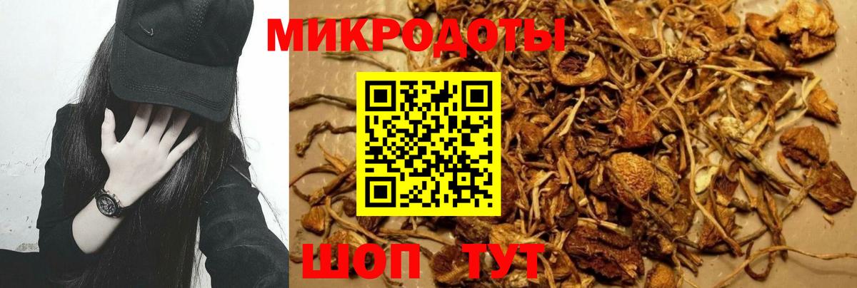 цена наркотик  Вход с VPN  Темрюк  Галлюциногенные грибы прущие грибы 